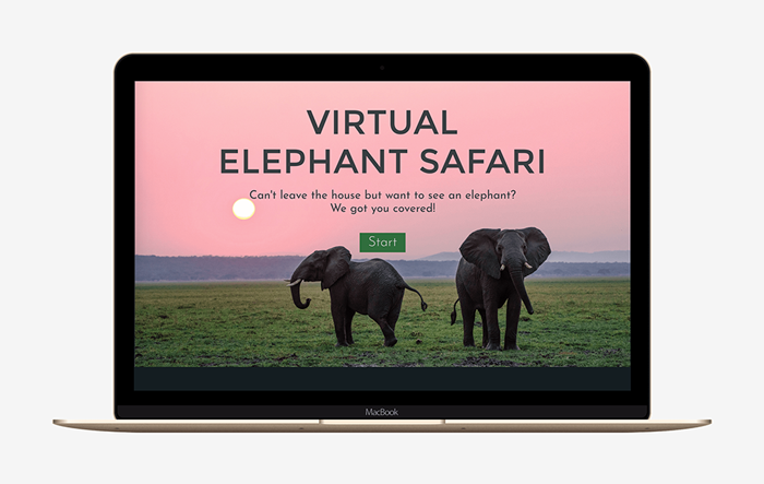 Image of the Elephant Safari website in laptop screen.